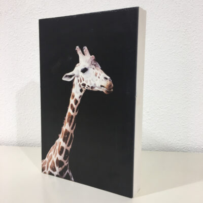 Foto van giraffe op hout