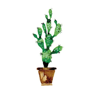 poster cactus vierkant