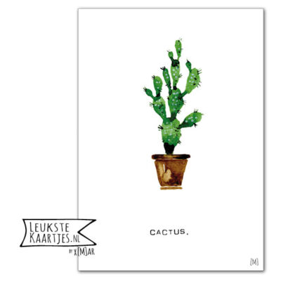 poster catus bloemen