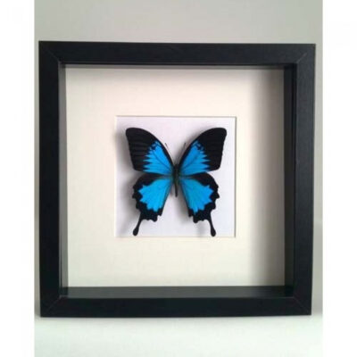 Decoratieve kunst
